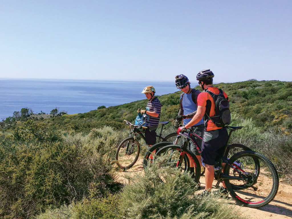 mountain biking