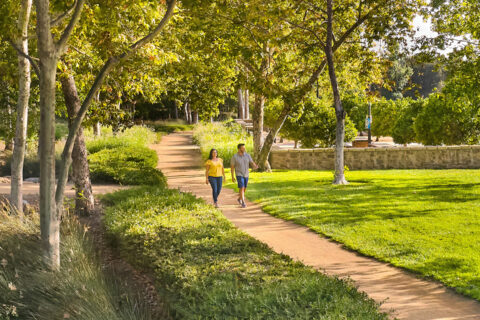 couple walking down park path