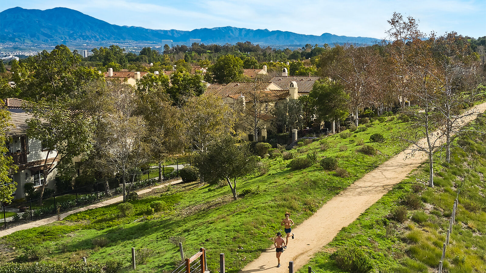 joggers on a park trail