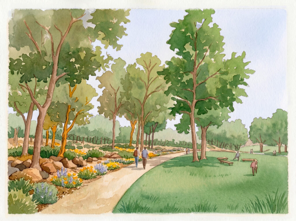 Nature Park Creek Oak Grove Trail - Watercolor Illustration